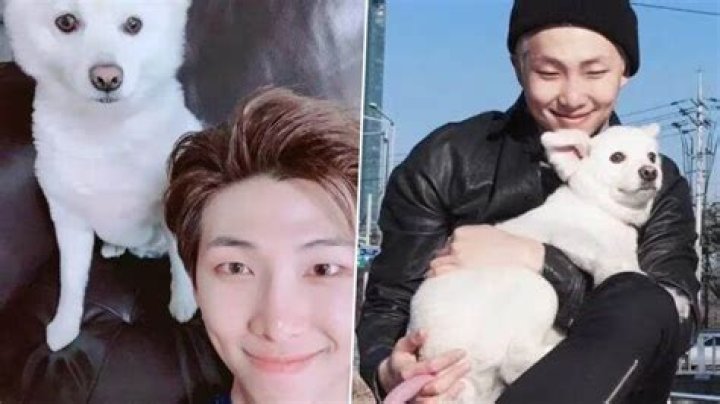 What is Namjoon's dog name?