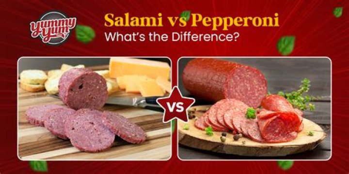 What is salami rent?