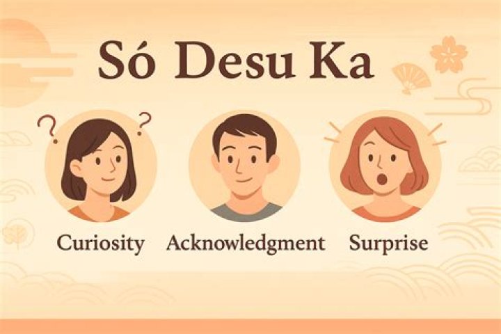 What is so desu ka?