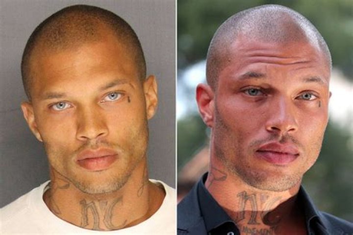 What is Steve a felon for?