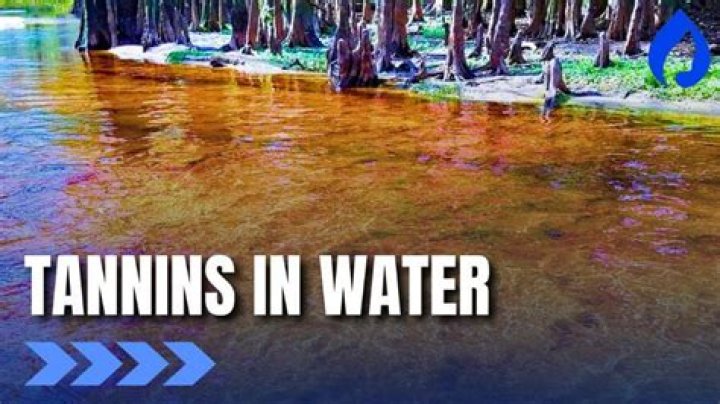 What is tannin water?