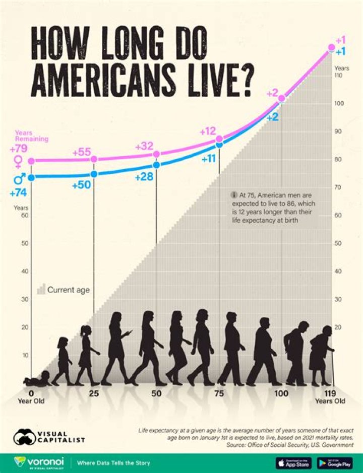 What is the average life span of a pilot?