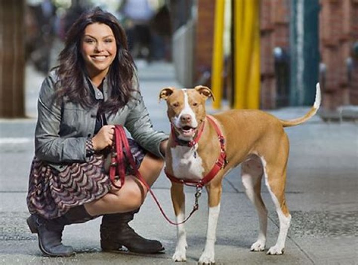 What is the best dog for a single woman to have?