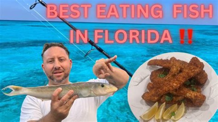 What is the best eating fish in Florida?