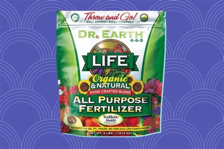 What is the best fertilizer for big buds?