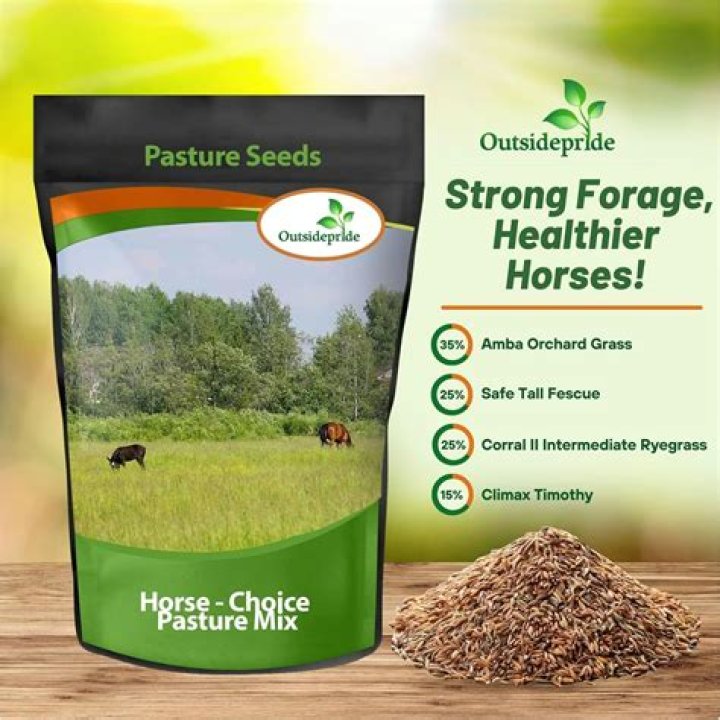 What is the best seed mix for horse pasture?