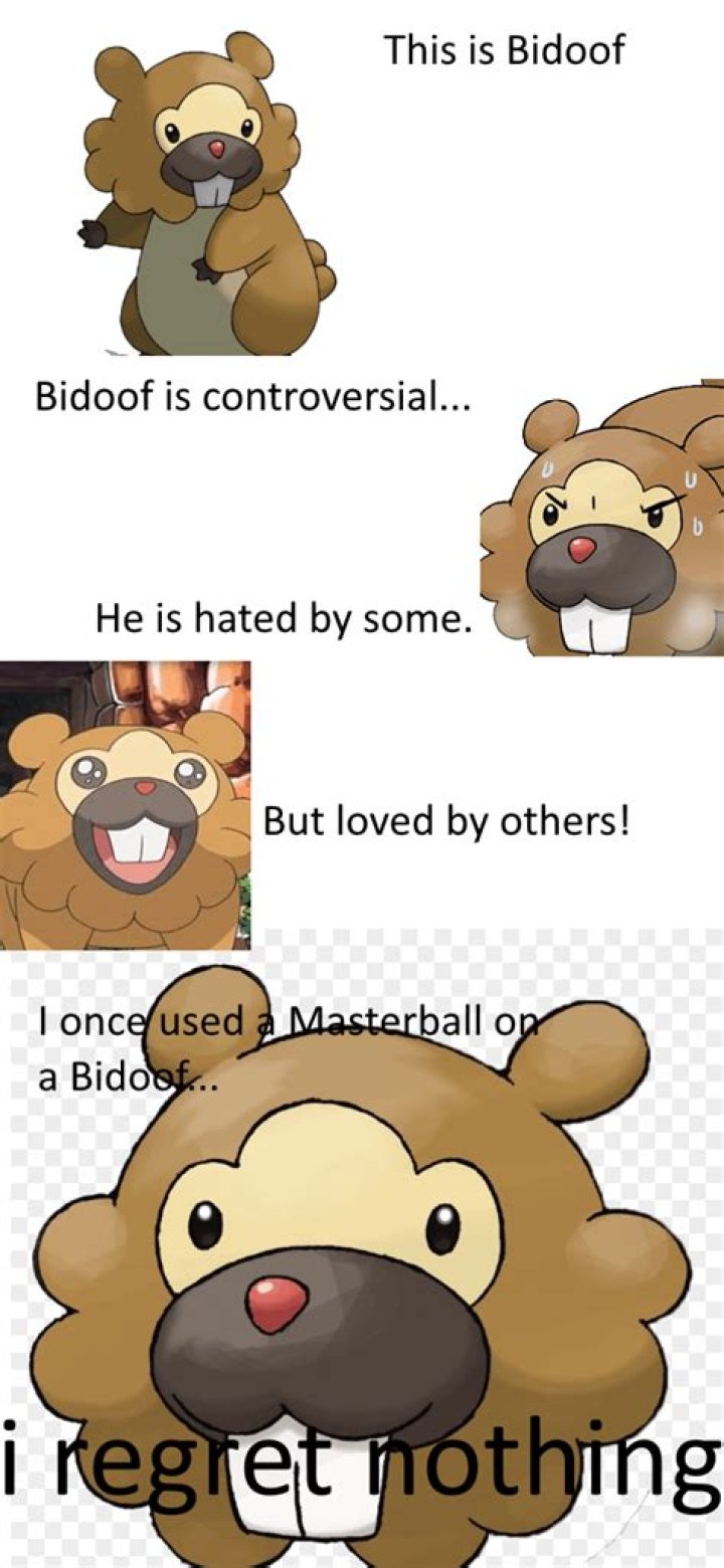 What is the Bidoof meme?
