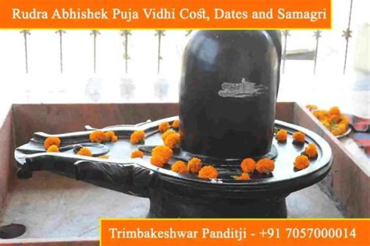 What is the cost of Rudrabhishek?