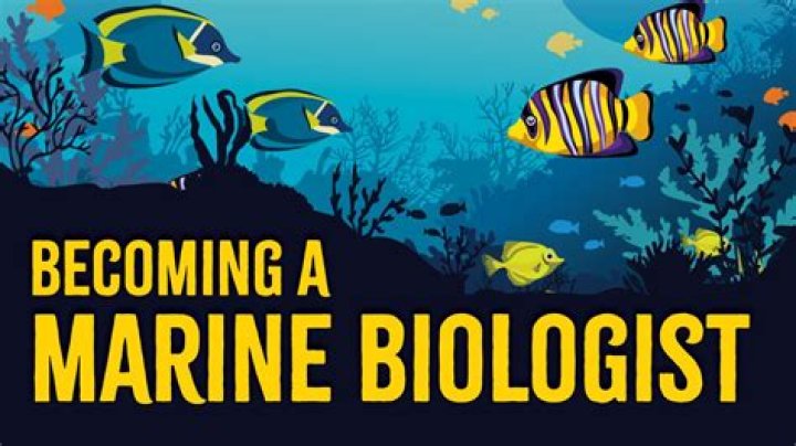 What is the daily life of a marine biologist?