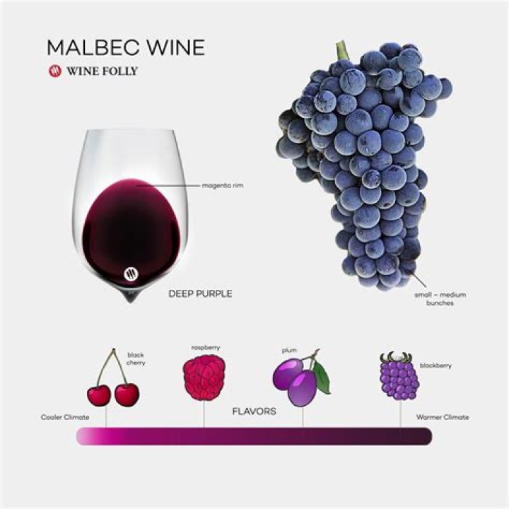 What is the difference between a Malbec and a Cabernet?