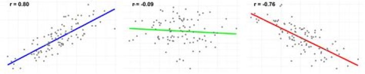 What is the difference between correlation and Collinearity?