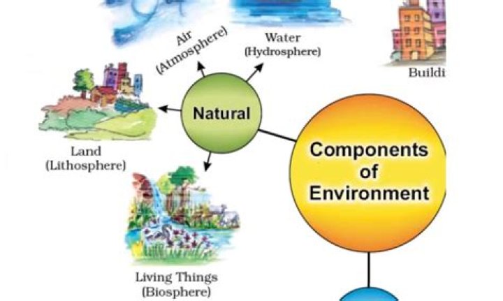 What is the difference between natural and physical environment?