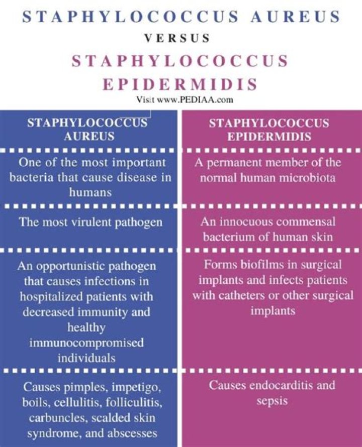 What is the difference between Staphylococcus aureus and Staphylococcus epidermidis?