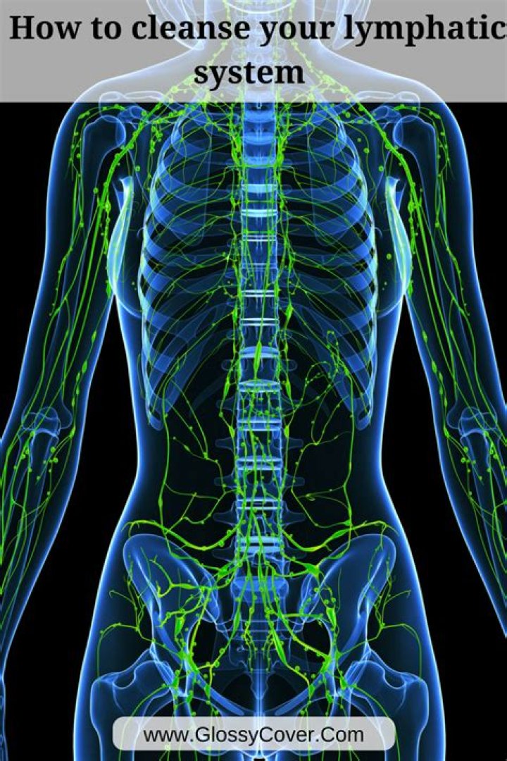 What is the fastest way to cleanse your lymphatic system?