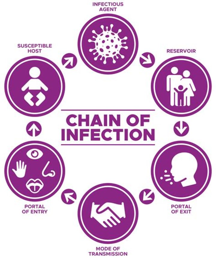 What is the final link in the chain of infection?