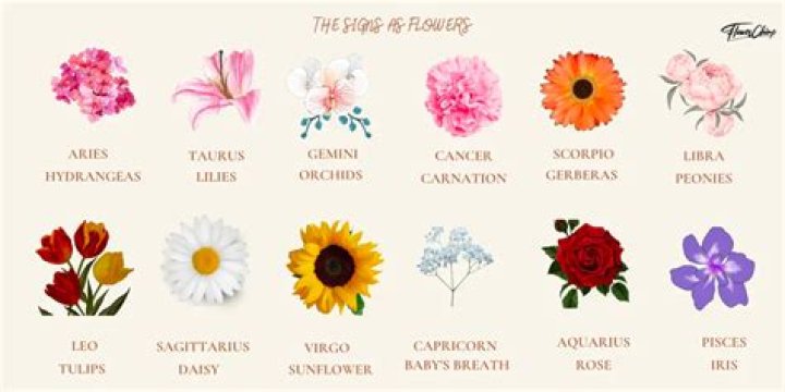What is the flower for Leo?