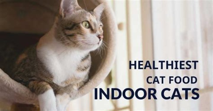 What is the healthiest cat?
