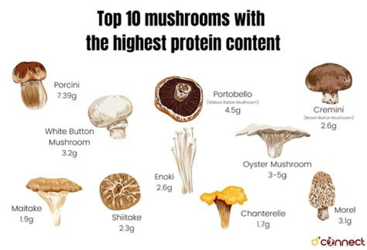 What is the healthiest mushroom?