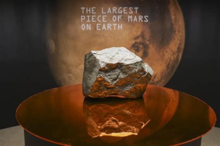 What is the largest piece of amber found?