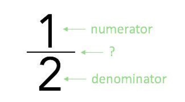 What is the line in a fraction called?