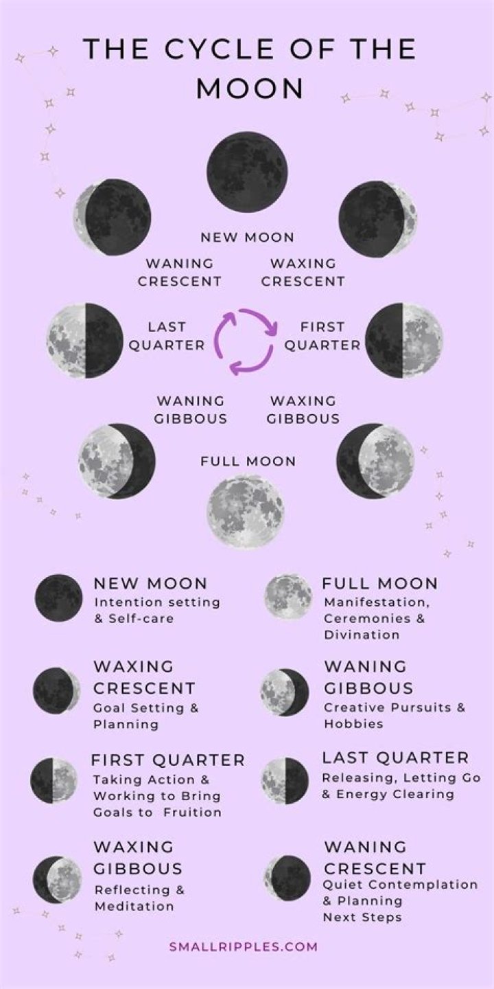 What is the meaning of S phase?