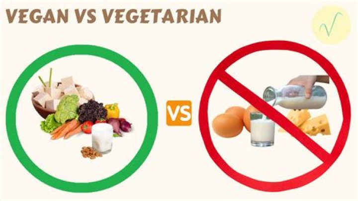 What is the meat suit in Bad Vegan?