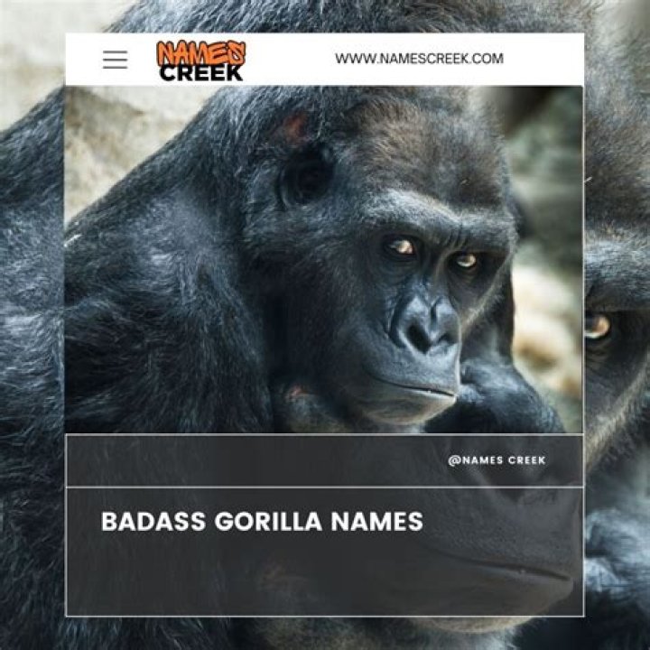 What is the most badass animal?