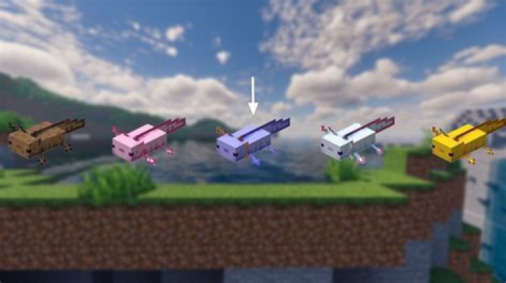What is the most common axolotl color in Minecraft?
