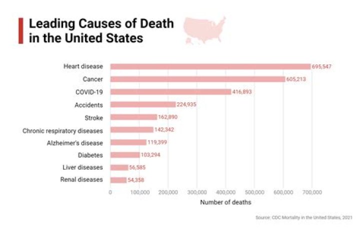 What is the most common cause of death for cats?