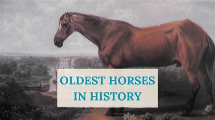 What is the oldest living horse on record?