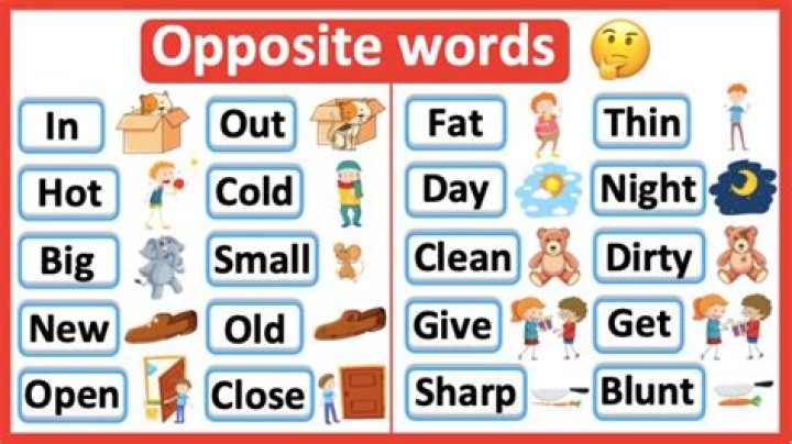 What is the opposite of opposite word?