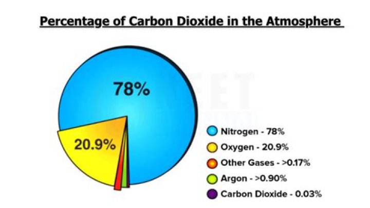 What is the percentage of carbon dioxide produced during anaerobic digestion?