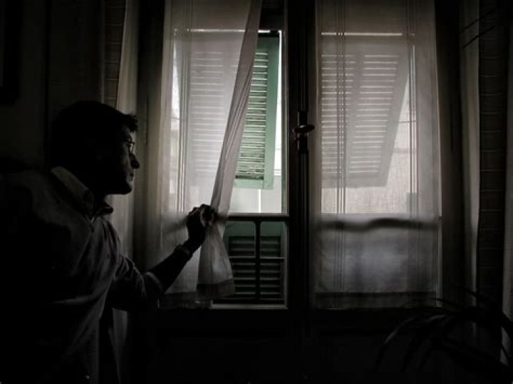 What is the point of day and night blinds?