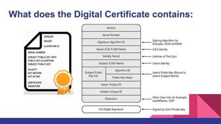 What is the primary use of a digital certificate?