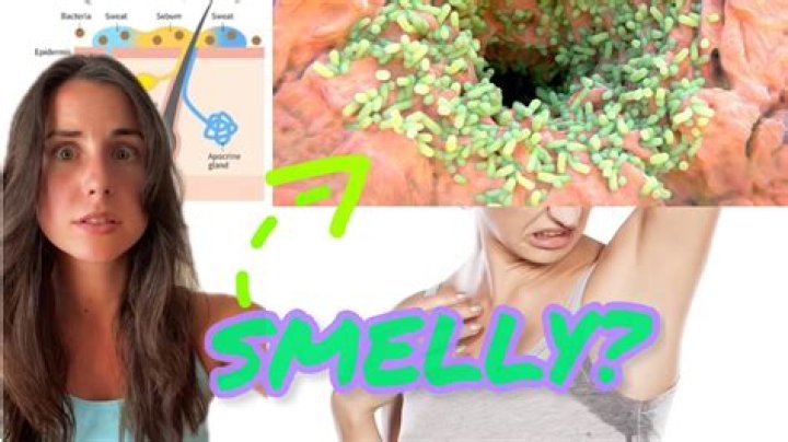 What is the smelliest body part?