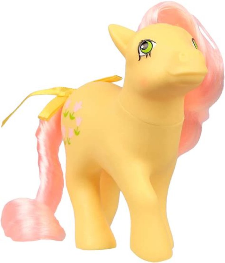 What is the yellow My Little Pony called?