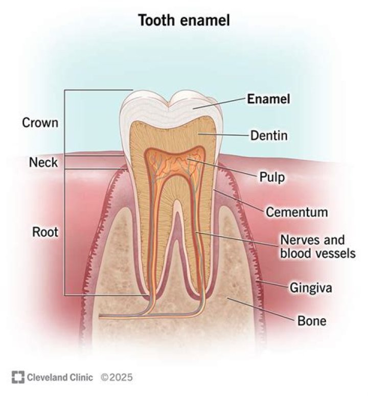 What is tooth enamel?
