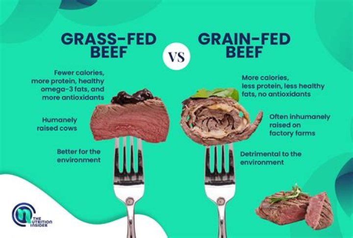 What is wrong with grain fed beef?