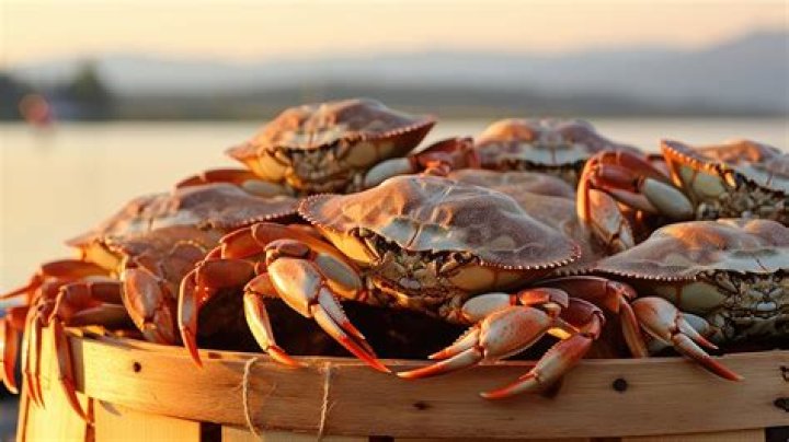What kind of crab is on deadliest catch?