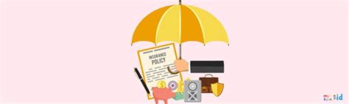 What kind of insurance do I need in Florida?