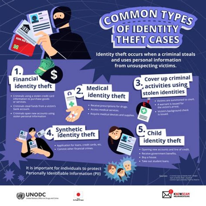What makes up the majority of identity theft cases?