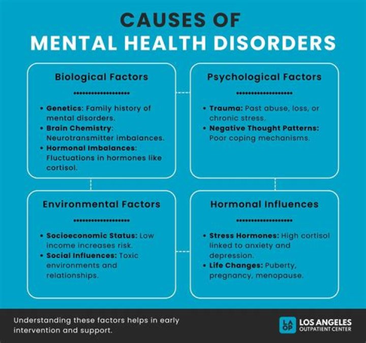 What mental illness did Hannah Baker have?
