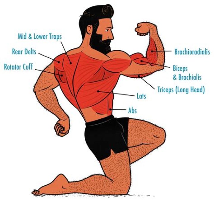 What muscles do you use to raise and rotate legs close to the body?