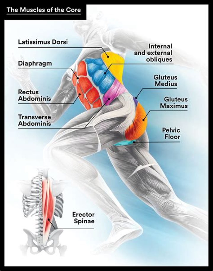 What muscles does Dancer Pose work?