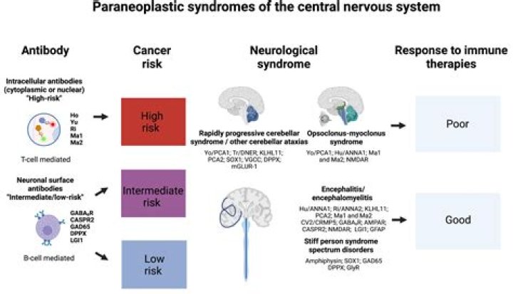 What parasites cause neurological symptoms?