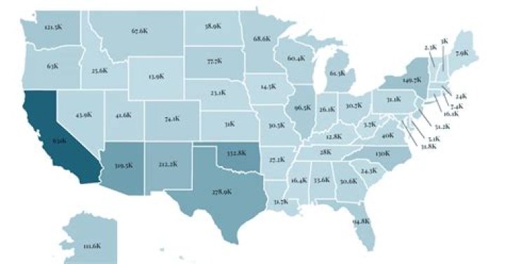 What percentage of United States is Native American?