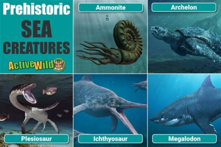 What sea creatures are in Puerto Vallarta?