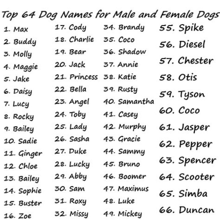 What should I name my dog?