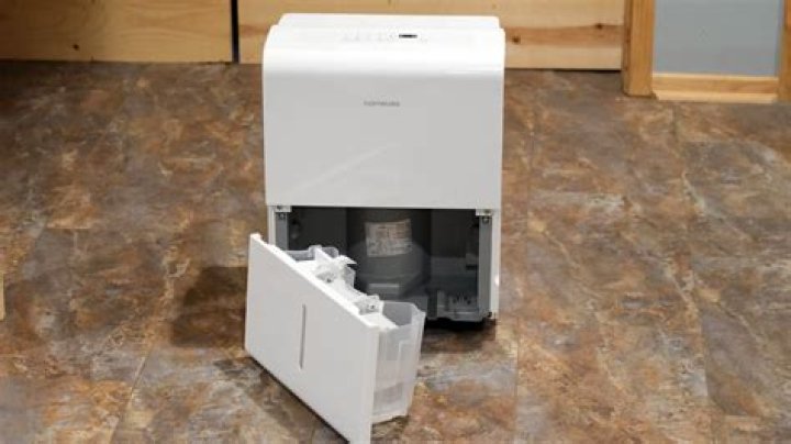 What should I set my dehumidifier at in winter?