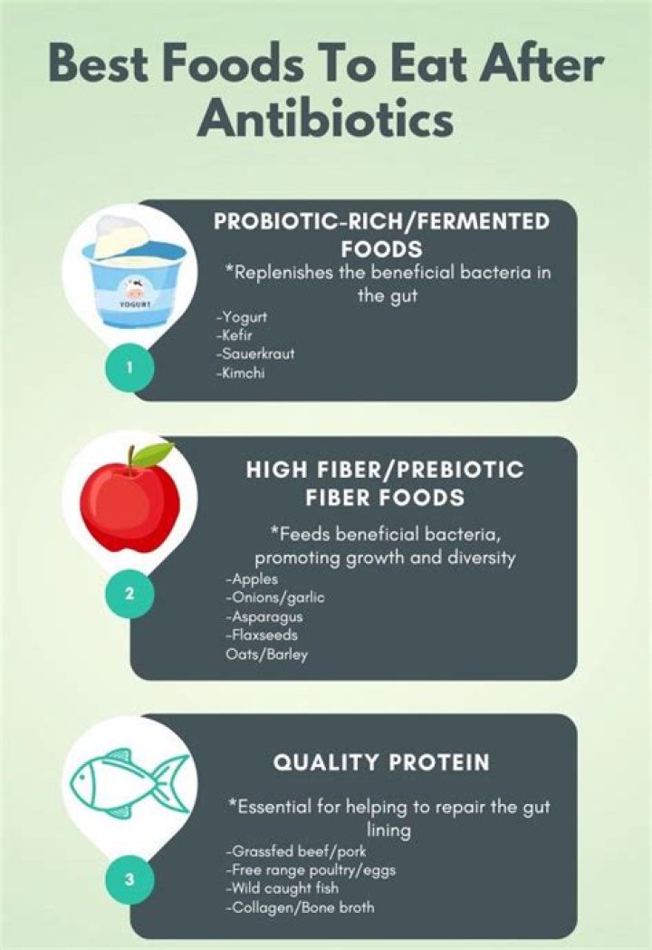 What should you eat after taking antibiotics?